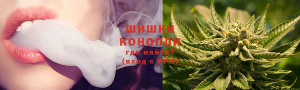 ГАЛЛЮЦИНОГЕННЫЕ ГРИБЫ Балахна