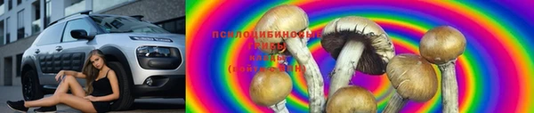 ГАЛЛЮЦИНОГЕННЫЕ ГРИБЫ Балахна