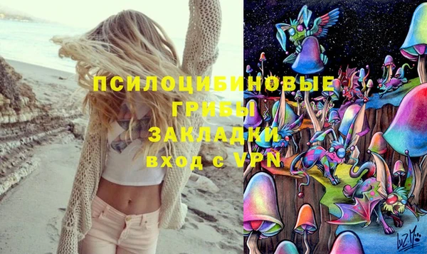 ГАЛЛЮЦИНОГЕННЫЕ ГРИБЫ Балахна