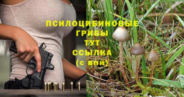 ГАЛЛЮЦИНОГЕННЫЕ ГРИБЫ Балахна