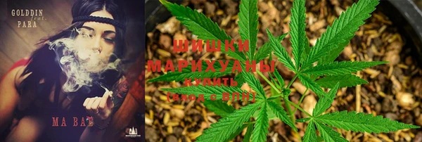 ГАЛЛЮЦИНОГЕННЫЕ ГРИБЫ Балахна