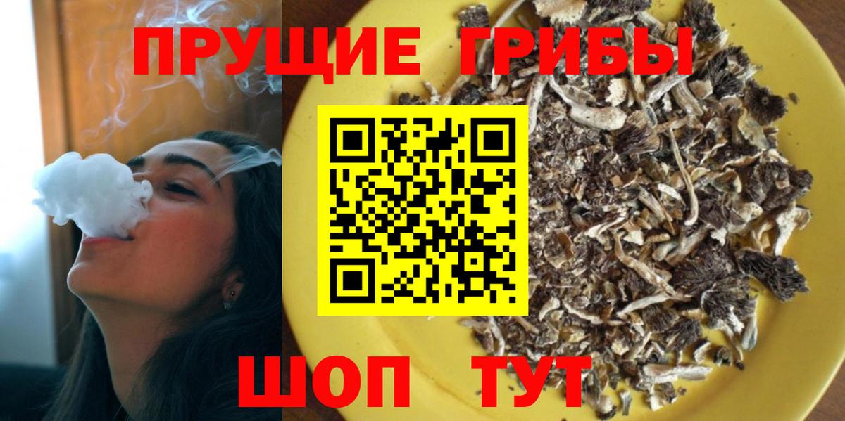Галлюциногенные грибы мухоморы Нерюнгри