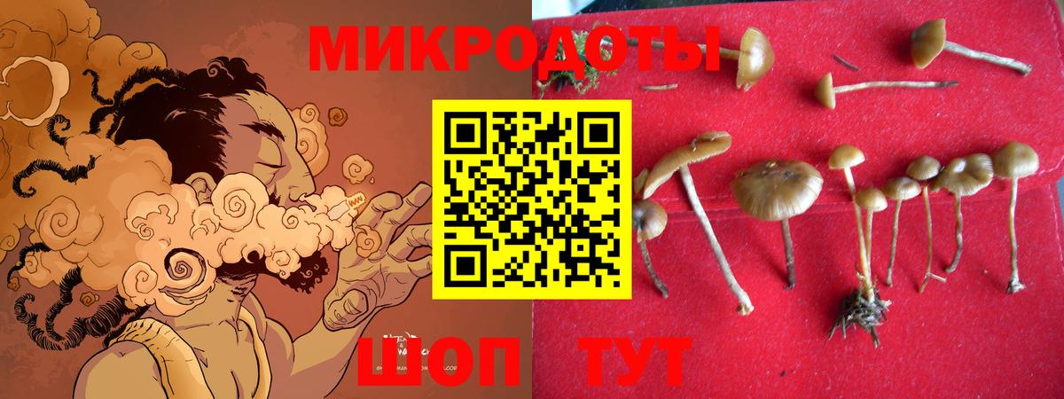 Галлюциногенные грибы GOLDEN TEACHER  Вход с VPN  Нерюнгри 